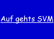 SV Meppen 1912 e.V.